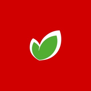 ОКЕЙ