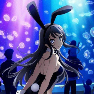Rascal doesn't dream of bunny girl senpai