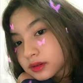 Link Videy gratis